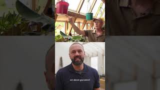 Why you Shouldn't use Diagonal Windows in your Home #earthship #permaculture