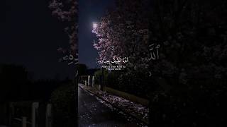 قران #Quran # wisam  #ياسر_الدوسري #quran_alkarim #fyp #viral