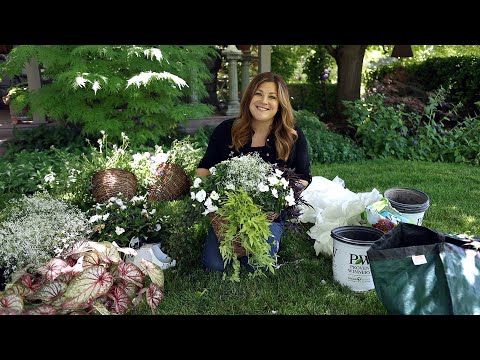 Video: Flori de coș agățat pentru umbră – creșterea florilor de umbră în coșuri suspendate