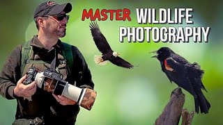Twelve Beginner Steps to becoming a Great Wildlife Photographer I Wish I knew Sooner.