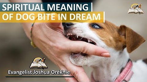 Spiritual Meaning of Dog Biting Me - Dog biting hand, leg, back, chest