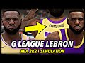 I Put LeBron James In The G LEAGUE... | NBA 2K21 Next Gen New Feature!