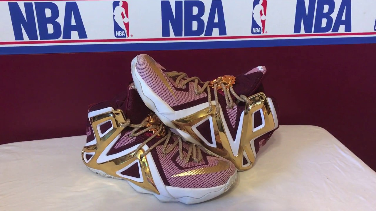 LeBron 12 Elite ID "Cavaliers Colors"