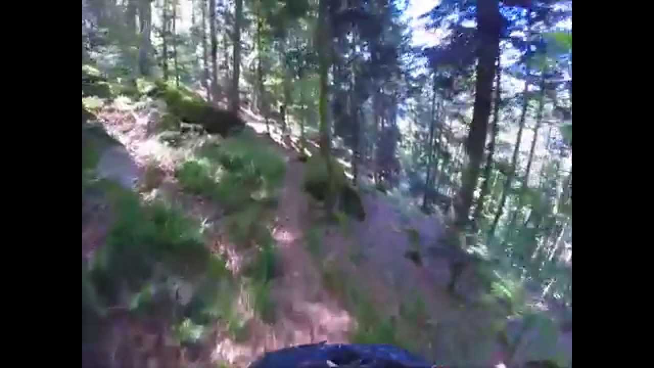 Trail vom Rappenfelsen nach Gremmelsbach / Cube Fritzz 160 HPA Race