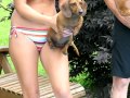 Dachshund Water Race