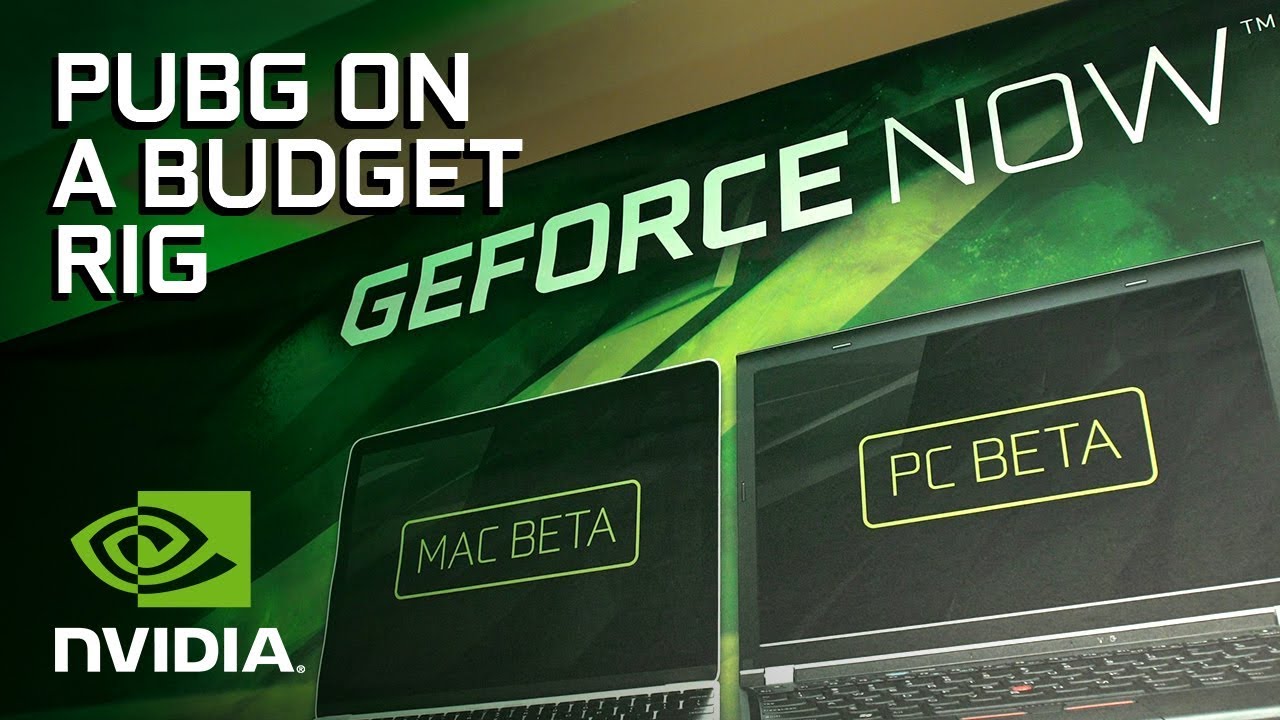 Nvidia container это. GEFORCE Now PUBG. GEFORCE Now. DCS GEFORCE Now. GEFORCE Now Gifts.