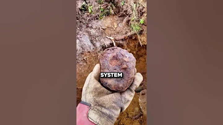 Inside a 4 Billion Year Old METEOR 🤯 (@stardust_eu)