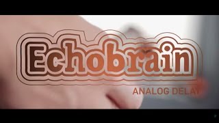 Echobrain Analog Delay - Official Product Video