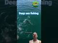 deep sea fishing 🎣#bed cast fishing 🎣#short video 😭#