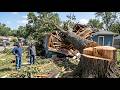 Dangerous Logging Skills and Extreme Forestry Machines in Action