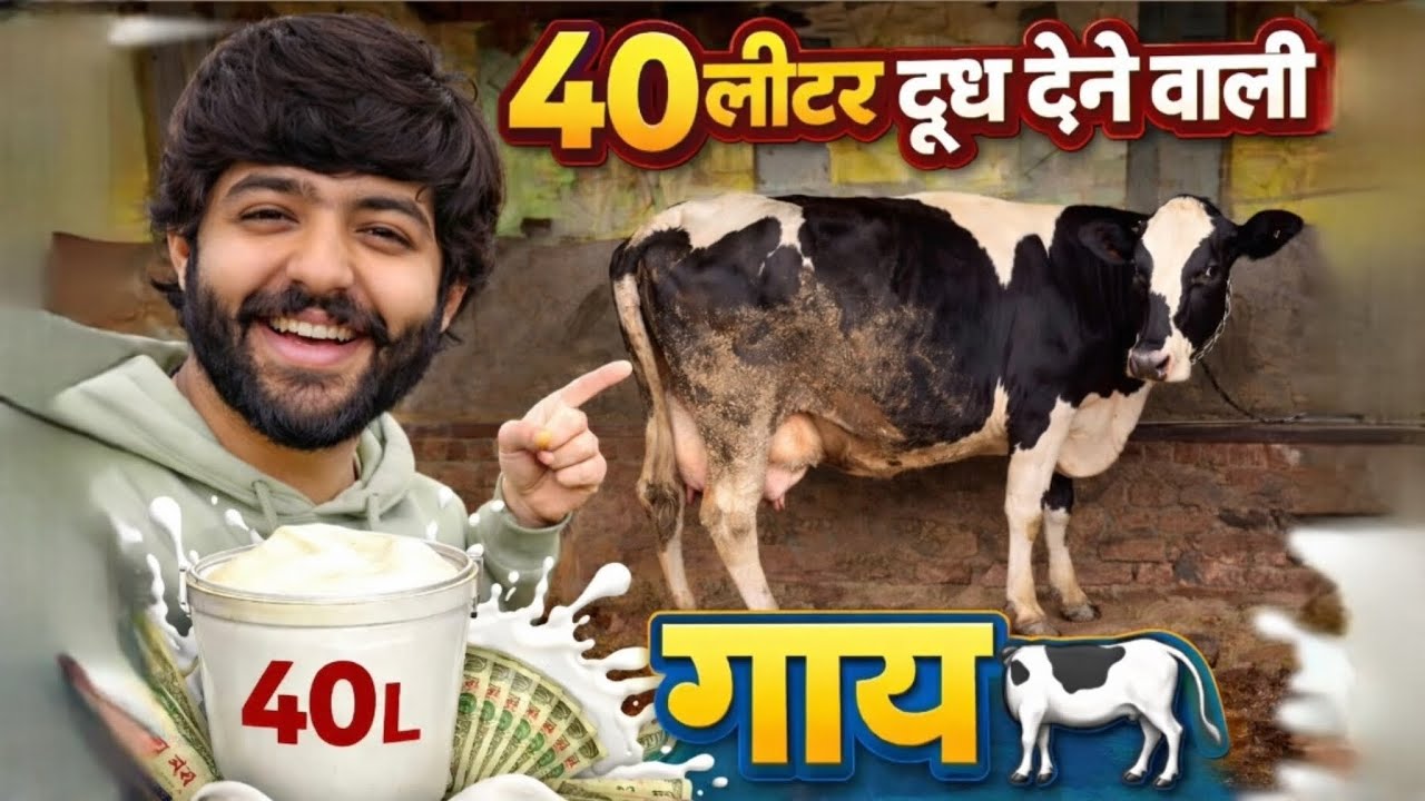 Day 2 in My Village 🐄 | 40 लीटर दूध देने वाली गाय 😲|Pratham Sharma|