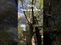 #funnyvideo #tutorial #treecutting #landscape