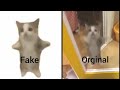 Happy cat meme fake vs original