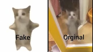 Happy Cat Meme (Fake vs Original) Resimi