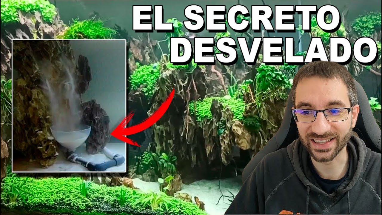 😲 REACCIONANDO Nº6: Cascadas de Arena en el Acuario