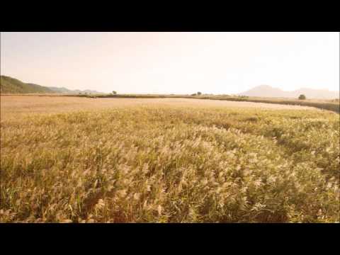 이소라 - 바람이 분다 (2004)