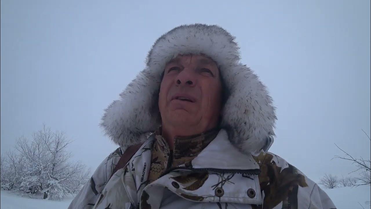 охота на зайца с гончими 2022. охота на зайца с гончими осень 2022. охота с русской гончей михаил лебедев. охота с гончими на зайца 2023г. охота на зайца с гончими 2022.