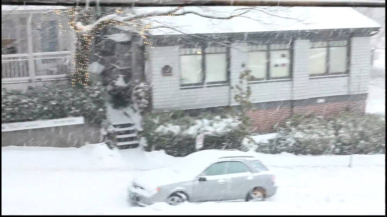 The Big Portland Dump of '08, Part II YouTube