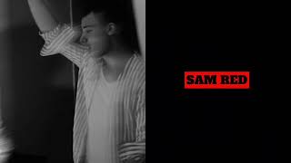 Poker Face (Sam Red Techno Edit)