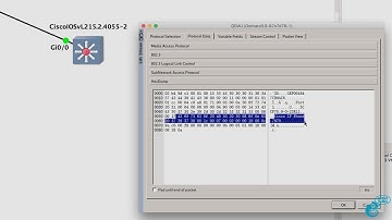 GNS3 Talks: Ostinato Wireshark Captures Part 2: Capture IP Phone CDP messages & craft your own