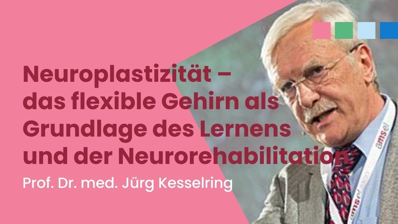 Neuroplastizität - das flexible Gehirn als Grundlage des Lernens und ...