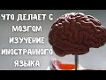 Зачем учить языки?