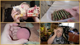 Kids in Sephora, News Literacy, and WHAT is going on with my makeup sponge?! | VLOG