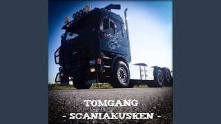 Scaniakusken