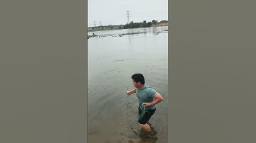 how fishing net works animation, wow!! Real life Cast net fishing 8kg Under a Dam 9