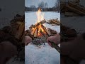 #outdoors #outdoorcooking #campfirecooking #campcooking #naturecooking #fyp #audreyhuntercooking