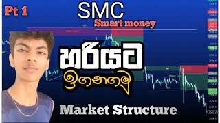 (SMC) Market structure | PART 1 | SMART MONEY CONCEPT by (Trade with Mortier) sinhala