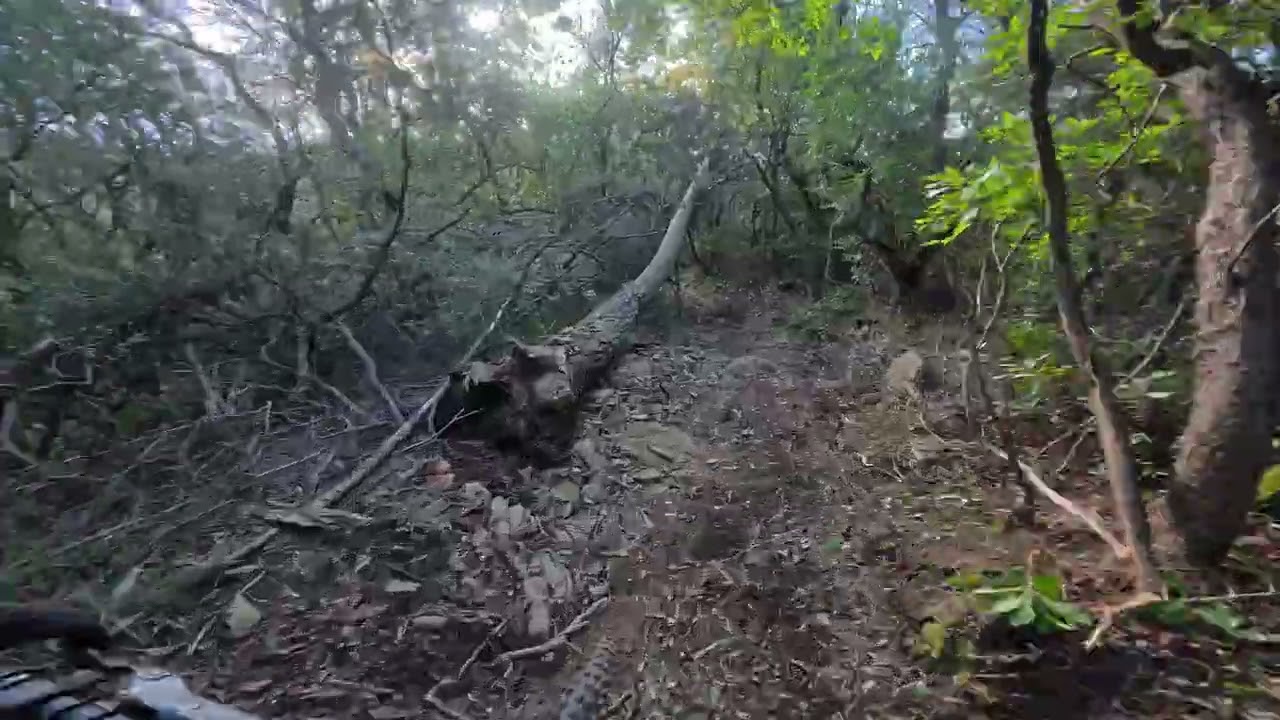 Con Garibbo a Forte Bastione