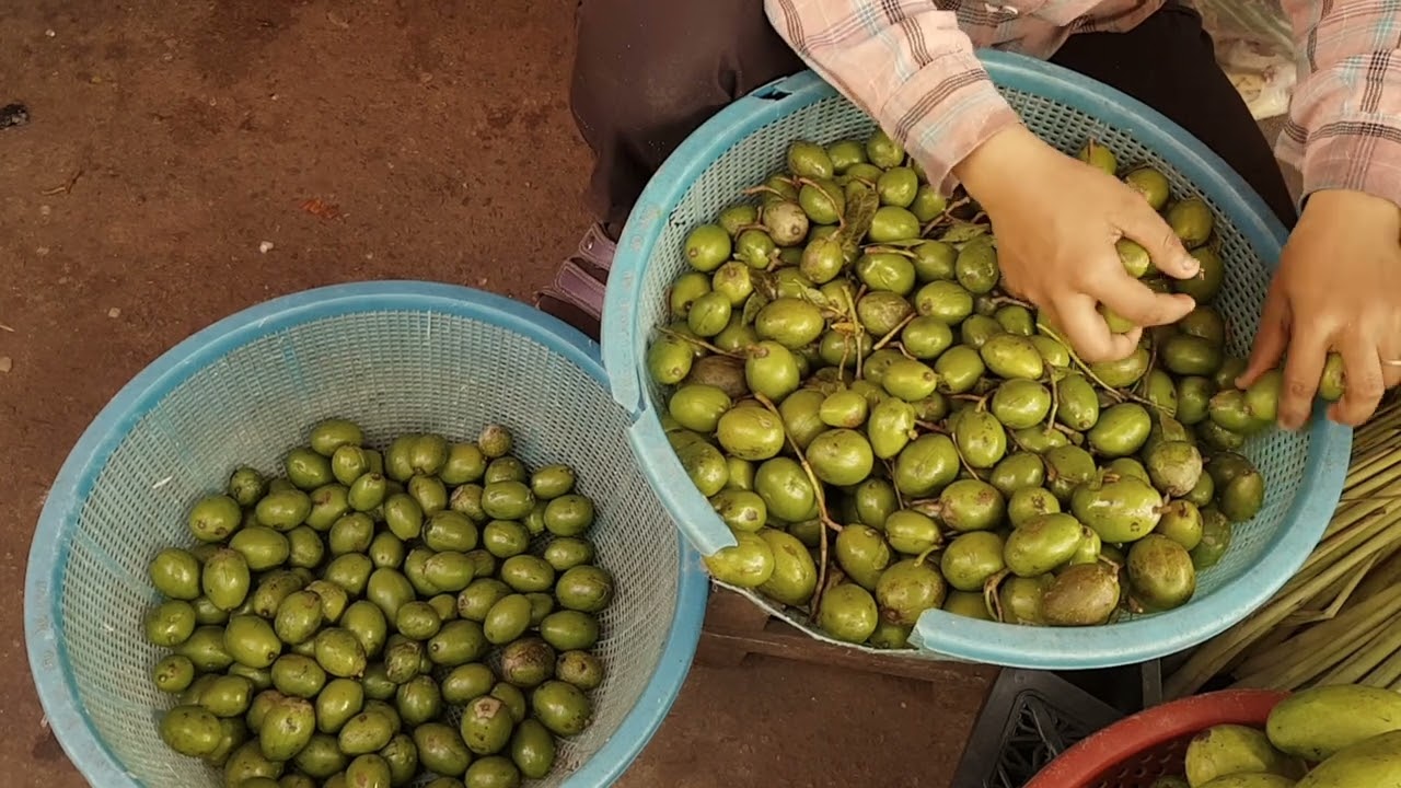 Ambarella Fruit (Spondias dulcis)