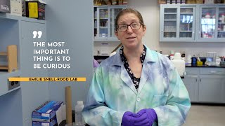 CBS research virtual lab tour: Snell-Rood Lab