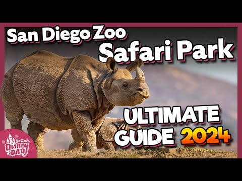 San Diego Zoo Safari Park 2024 | Top Tips, Tour, Exhibits & More