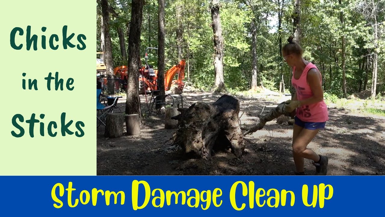 Storm Clean Up - YouTube