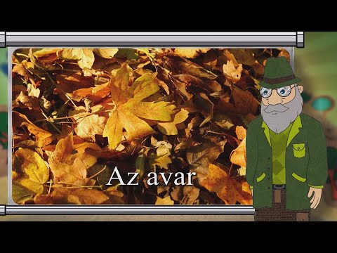 Erdő Ernő bácsi meséi - Mi az az avar?