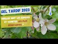 Nordic rustic  impact du gel tardif davril 2023 sur les floraisons des fruitiers du jardin