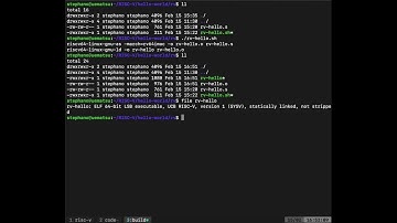 RISC-V en la practica (QEMU, lenguaje ensamblador, compulador,) con Hola Mundo