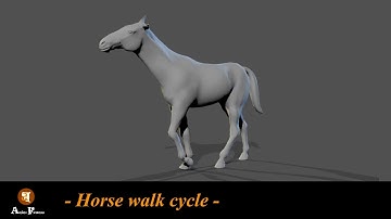6°Modulo Quadruped Locomotion