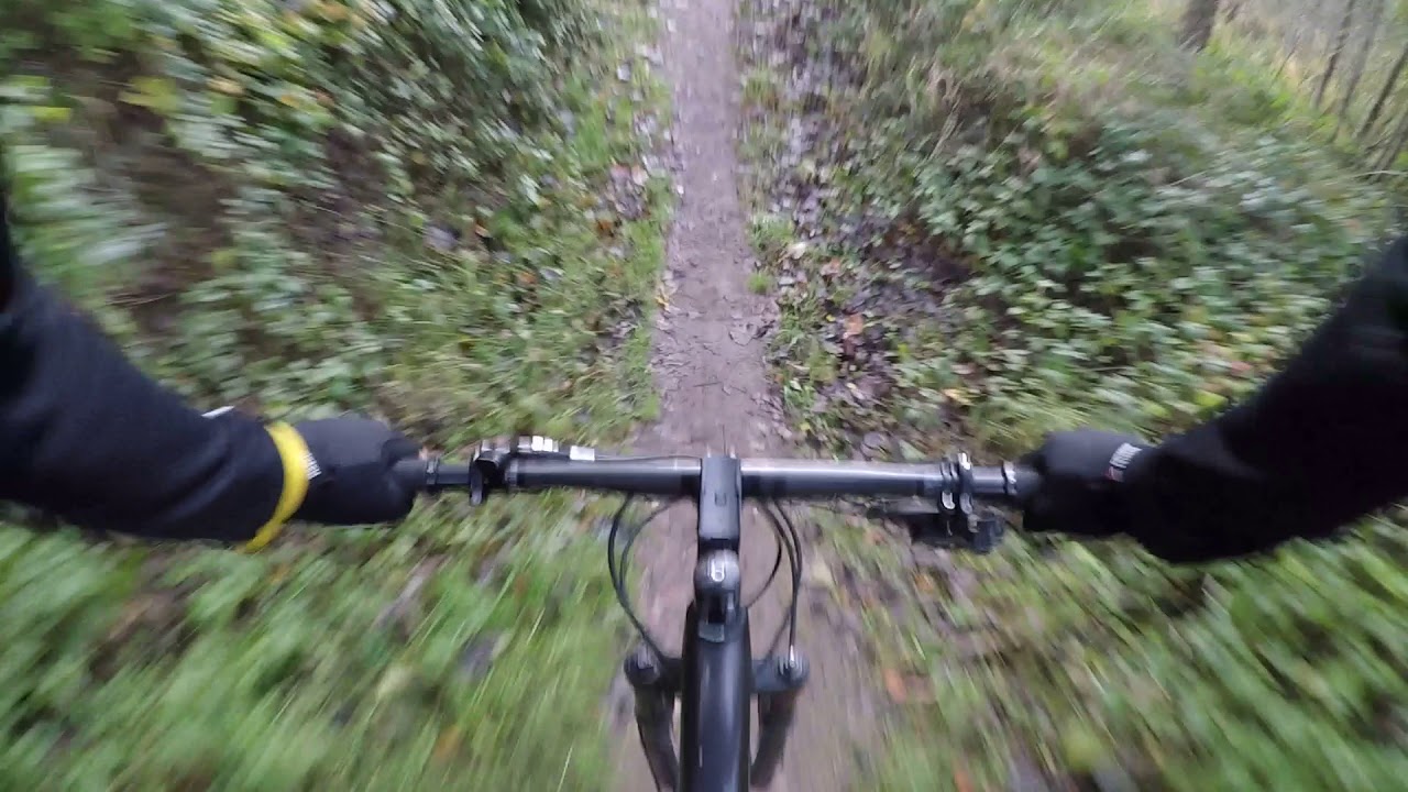 Roggebot bos mtb Trek Top fuel