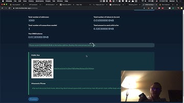 Binance Multisender Demo