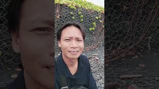 Pantai Nyanyi Tabanan Bali