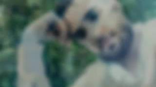 Qardaşım Eliye Menden Hedye Allah Seni Remmet Etsin. Mekanın Cenet.olsun