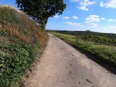 GO PRO HERO 7 BLACK, DOWNHILL with BIKE while holding the camera in my hand!