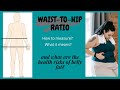 How to Calculate Waist to Hip Ratio|PIPE_CHAR. What are the Risks of More Belly Fat