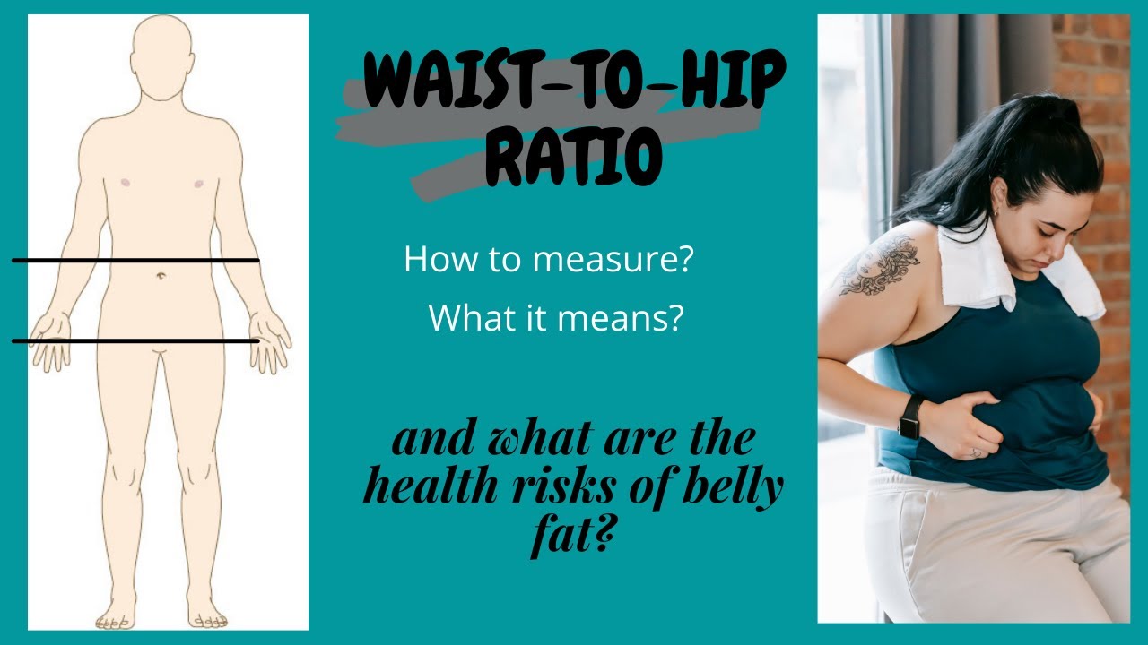 How to Calculate Waist to Hip Ratio || What are the Risks of More Belly ...