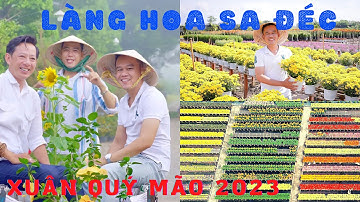 Làng Hoa Sa Đéc Xuân 2023 Đẹp Lộng Lẫy Vui Tươi Đầy Ắp Sắc Màu Tại Đồng Tháp
