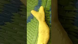 Clay Hand Art By Blind Girl #trending #love #ekmotahathighumechala #youtubeshorts #funny #reels #art