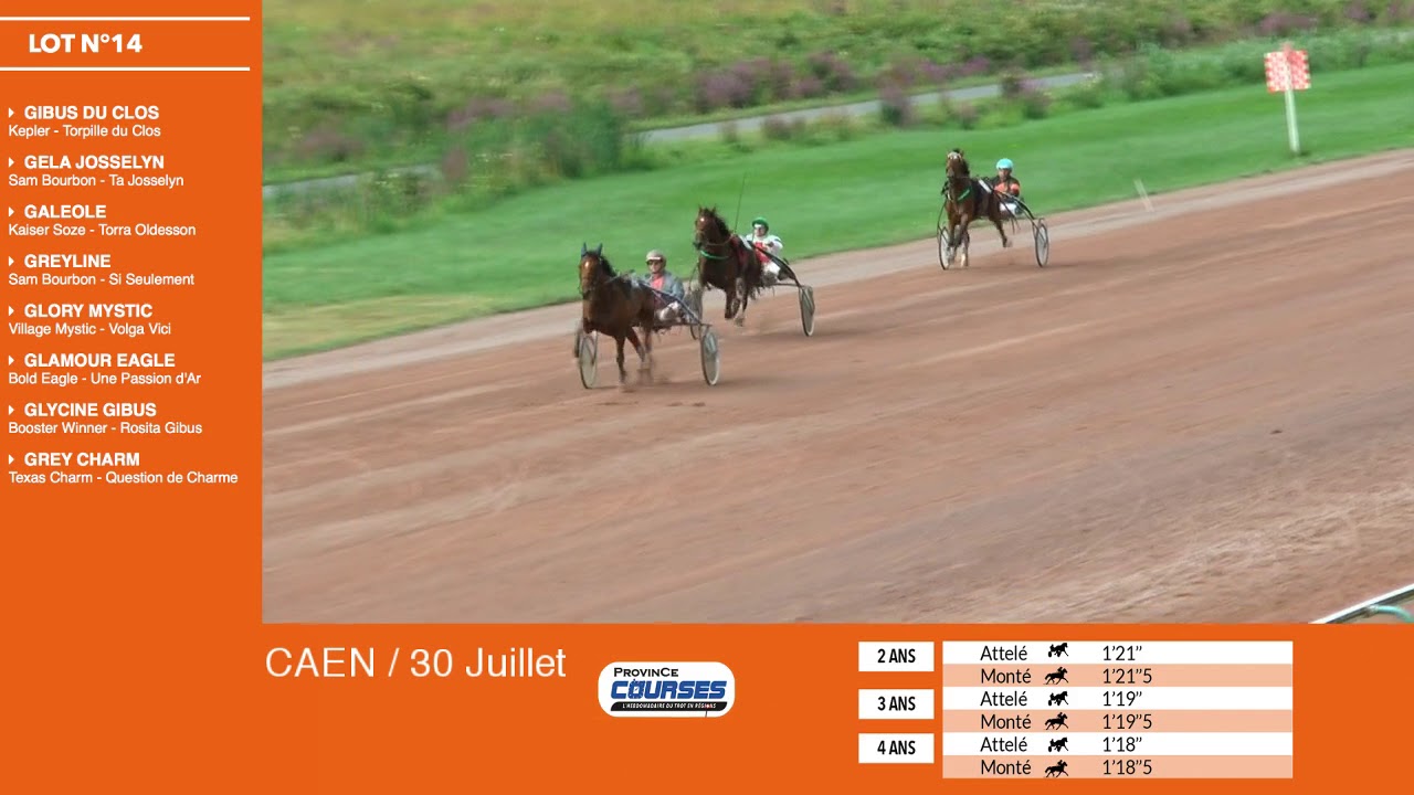 ventes trotteurs caen 2016